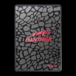 اس اس دی اینترنال اپیسر مدل AS350 PANTHER ظرفیت 128گیگابایت