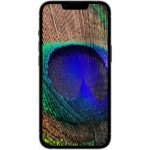 خرید اینترنتی گوشی موبایل اپل مدل iPhone 13 Pro دو سیم‌ کارت ظرفیت 128 گیگابایت و 6 گیگابایت رم فروشگاه اینترنتی سرند کالا